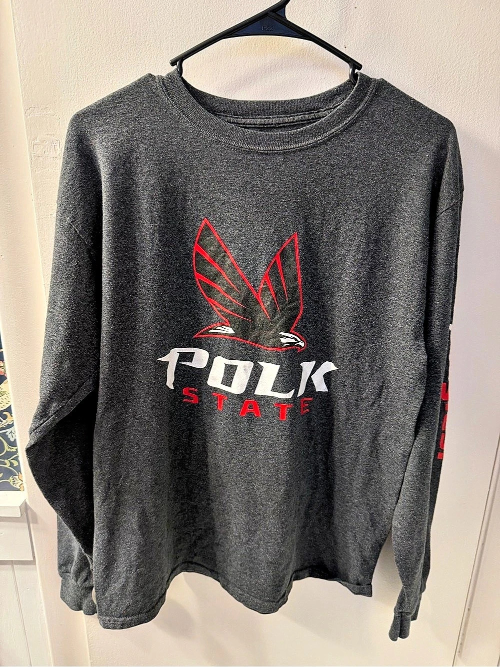 Champion Men's Gray Graphic Long Sleeve Size Medium